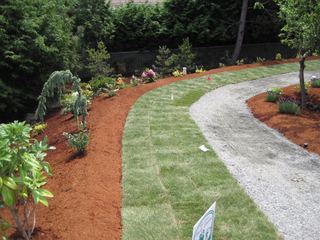 Landscaping project