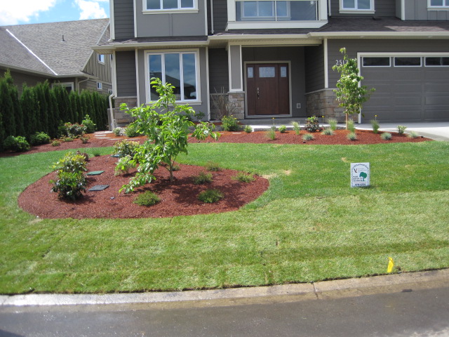 Victoria Landscaping front yard garden with lush plantings and mulch beds