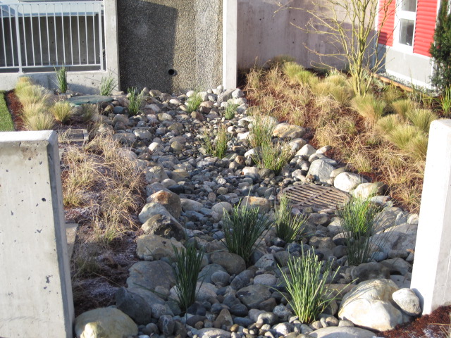 Landscaping project